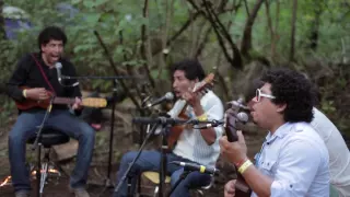 Los Cojolites - El Coco (Live @Pickathon 2012)