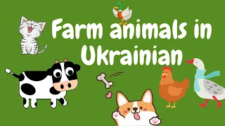 Farm Animals in Ukrainian - Lesson about Farm Animals