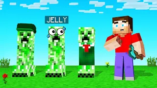 GUESS Which CREEPER Is The REAL JELLY! (Minecraft Guess Who)