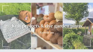 Knit projects & dye garden plans | West Wales
