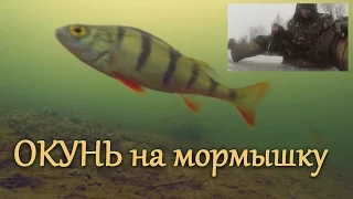 Зимняя рыбалка с камерой. Ловля окуня на мормышку. Подводные съемки.  Первый лед