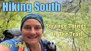 Day 56 Appalachian Trail 2024 Solo Female Thru Hike | Food, Boone and Strange Things On The Trail