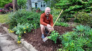 8 New Plants in the Garden - It's Not Easy Being Green Here!