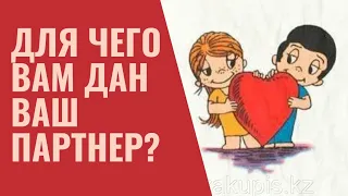 Зачем Вам Дан Партнер? Таро Расклад