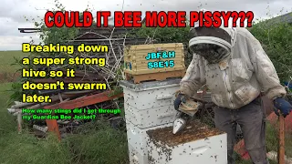 Super Pissy Hive Inspections in Western Oklahoma S8E15 #beekeeping
