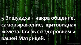 5 Вишуддха    чакра общение, самовыражение,  щитовидная железа