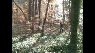 Bigfoot sighting Jan 21,  2013