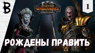 Total War: Warhammer 3 Immortal Empires Сильвания, Влад фон Карштайн #1 "Рождены править"