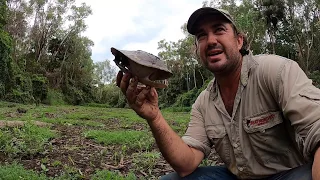 WALK ABOUT CROC Adventures with Tommy from Sandpalms Roadhouse