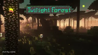 The Twilight Forest OST - "Home"