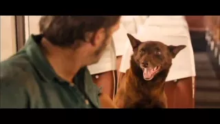 FetchTV - Red Dog Movie Trailer (2011)