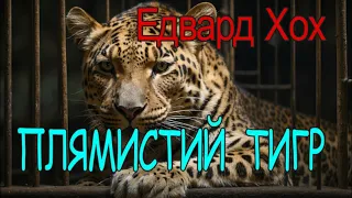 Едвард Хох - "Плямистий тигр"  динамічне оповідання аудіокнижка.