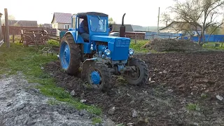Пашем огород на легендарном тракторе т-40