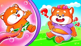 Why Do We Have Belly Buttons Song 🥰 Funny Kids Songs And Nursery Rhymes by Lucky Zee Zee