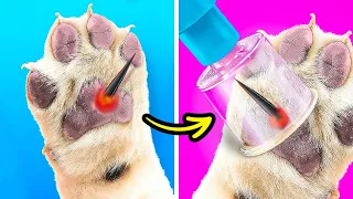 GENIUS HACKS FOR SMART PET OWNERS || Survival DIY Hacks And Tricks For Pets By 123 GO! Like