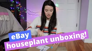 eBay Houseplant Unboxing! | Winter Plant Mail with no Heat Pack?!