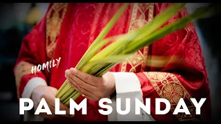 Homily for Palm Sunday Year B ( March 24, 2024 ) | Homily for Palm Sunday of the Lord’s Passion B