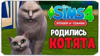 КОТЯТА МЭРА УСИКОВА - The Sims 4 "Кошки и Собаки" ▮