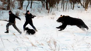 Мужчина спас медвежат провалившихся под лед, а спустя год медведица спасла ему жизнь