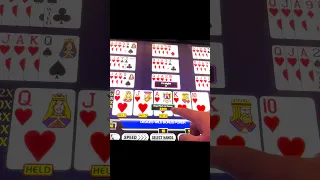 What should I do? Royal Flush Draw or Pair?