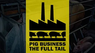 Pig Business - The Full Tail