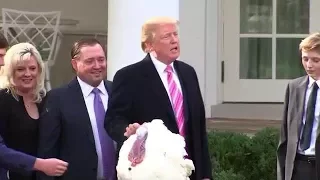 Donald Trump pardons 'Drumstick' his first Thanksgiving turkey