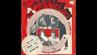 I'M GONNA TRY TREMELOES (2022 MIX)