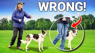 3 Dog Walking MISTAKES Most Owners Make