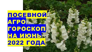 Посівний агрогороскоп на червень 2022 року