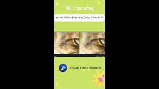 Enhance & Upscale Any Video SD, HD to 4K with AVCLabs Video Upscaling AI