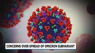 Omicron subvariant surge coming, but scientists are optimistic