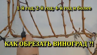 КАК ОБРЕЗАТЬ ВИНОГРАД ?! 1 -Й , 2-Й, 4-Й ГОД ВИНОГРАДНИКУ. РОЗЫГРЫШ ЯЩИКА ВИНА!!!!!