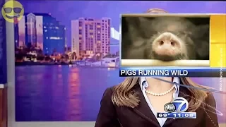 Funniest News Bloopers Captions Of All Time