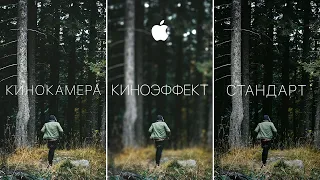 Тест Камеры iPhone 13! Лучшая бюджетная КАМЕРА в 2022?