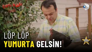 Şuayip'in İMTİHANI!  - Çatı Katı Aşk Özel Klip