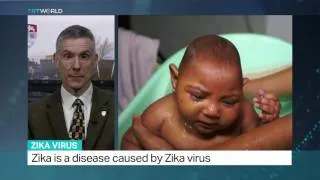 Interview with Derek Gatherer from Lancaster University on the spread of Zika virus