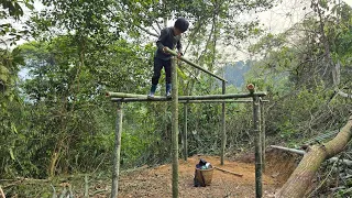 Building a bamboo house in the forest, an orphan boy khai starts a new life