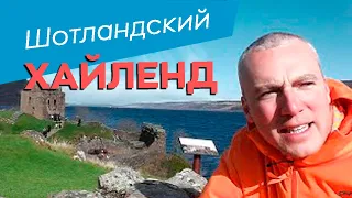 Шотландский хайлэнд