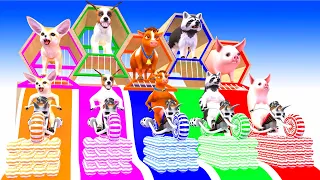 Paint Animals Cow Sheep Lion Dinosaur Ratel Bear Checken Fox Dog Cat - Paint Color #part1