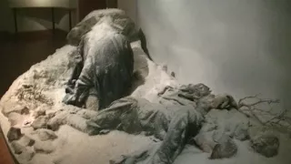 кавалеристы Карла 12 в военном музее Стокгольма 12 10 2016