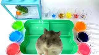 WHY IS THE HAMSTER SITTING IN THE AQUARIUM AND WATCHING HOW I MIX SLIME ASMR