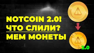 NOTCOIN 2.0 - СЛИТАЯ ИНФОРМАЦИЯ | ХАЙП НА МЕМТОКЕНАХ