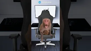 КАК ЭТО, КАК?!??! 😦🔥 #rek #а4 #brother #monkey #майнкрафт #tiktok #omega #роблокс #браток #ещкере