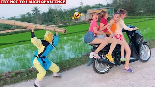 Best Funny Videos 2021 🤣 😂 Try Not To Laugh Challenge - Cười Vỡ Bụng | Episode 182