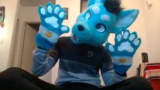 Fursuit and Just Dance