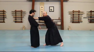 Atemi  Aikido is 90% atemi