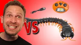 Animal Planet Giant RC Centipede Unboxing