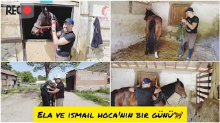Çiftlikte bir günümüz nasıl geçiyor? ~At hazırlama eyerleme 🐎 @havalitabancalar