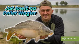 Karpie i Amury - Jak łowić na Pellet Wagler