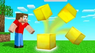 Every BLOCK You Place MULTIPLIES in MINECRAFT! (too many blocks)